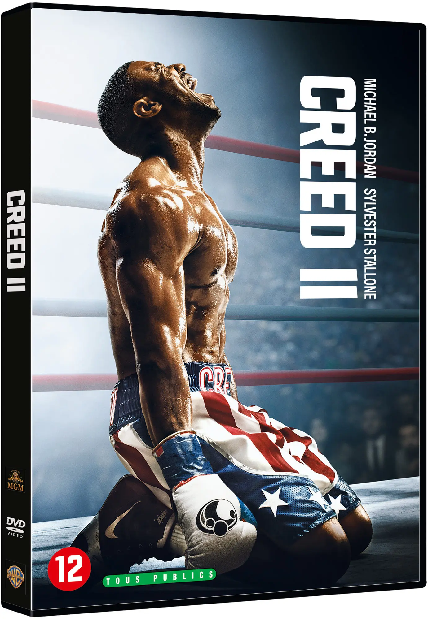 Creed II (DVD)