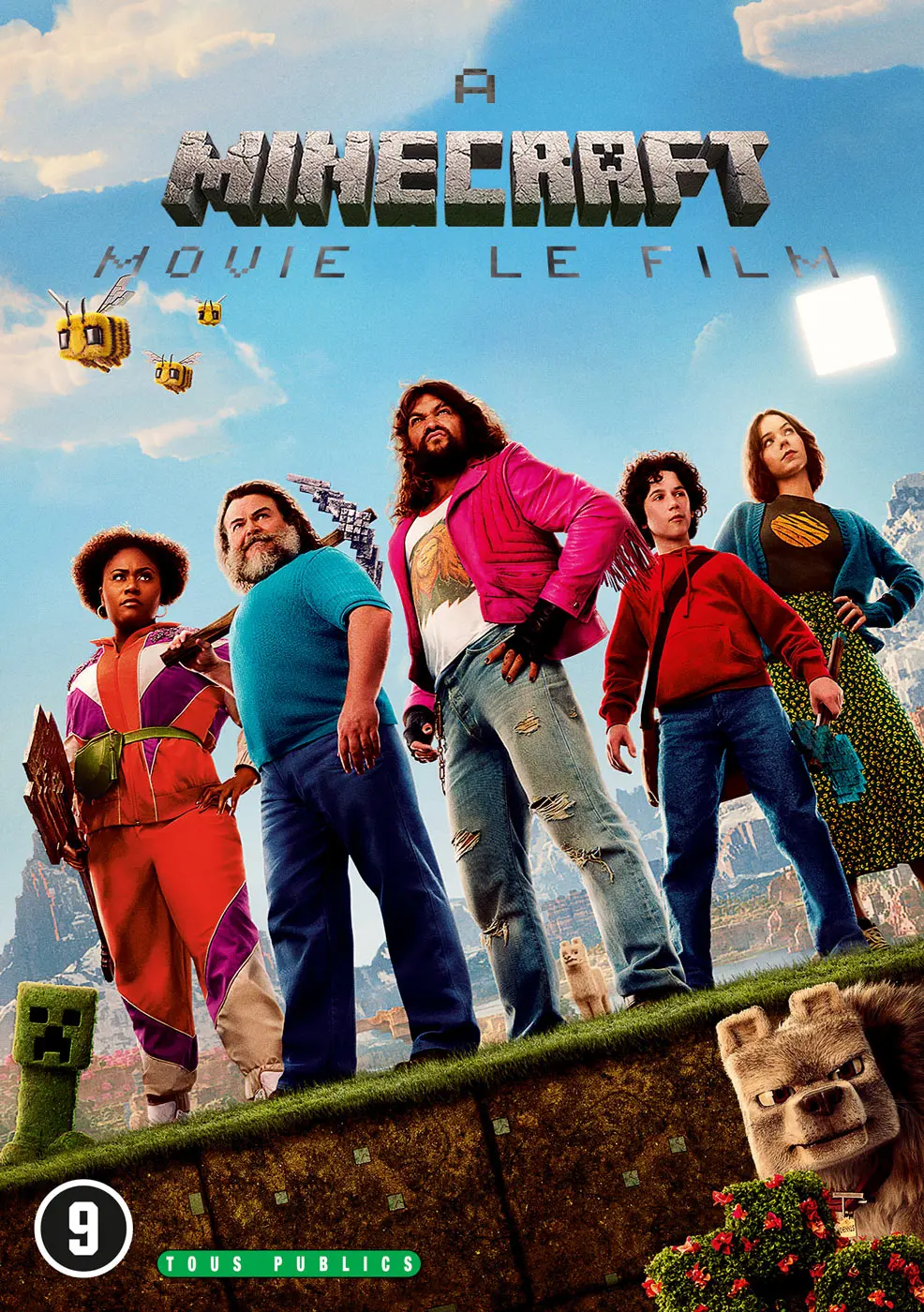 Minecraft, le film (DVD)
