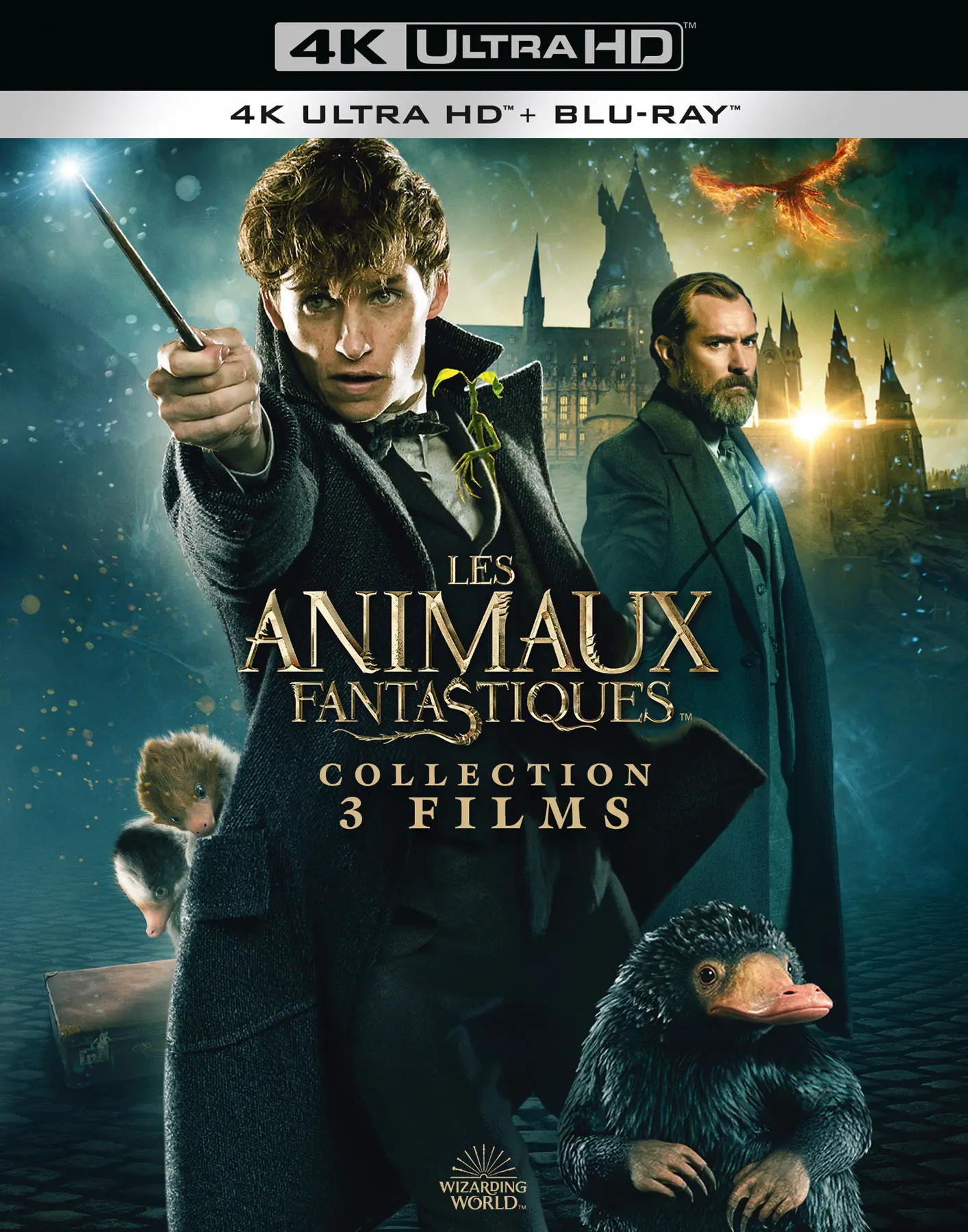 Fantastic Beasts - Collection (4K-UHD)
