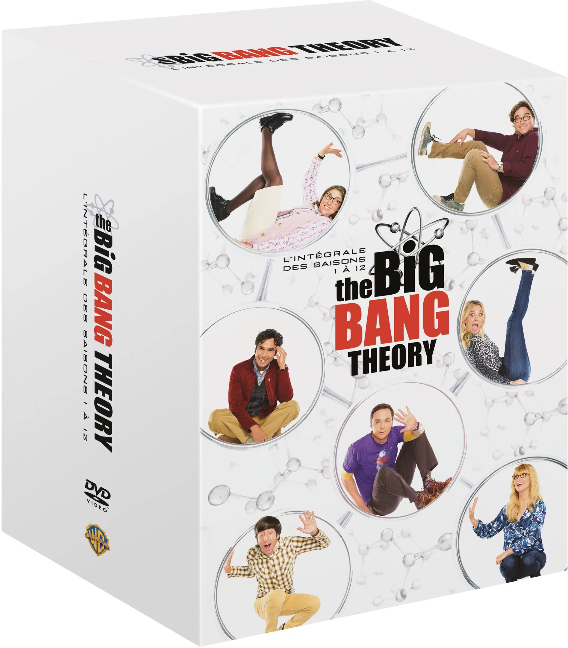 The Big Bang Theory (DVD)