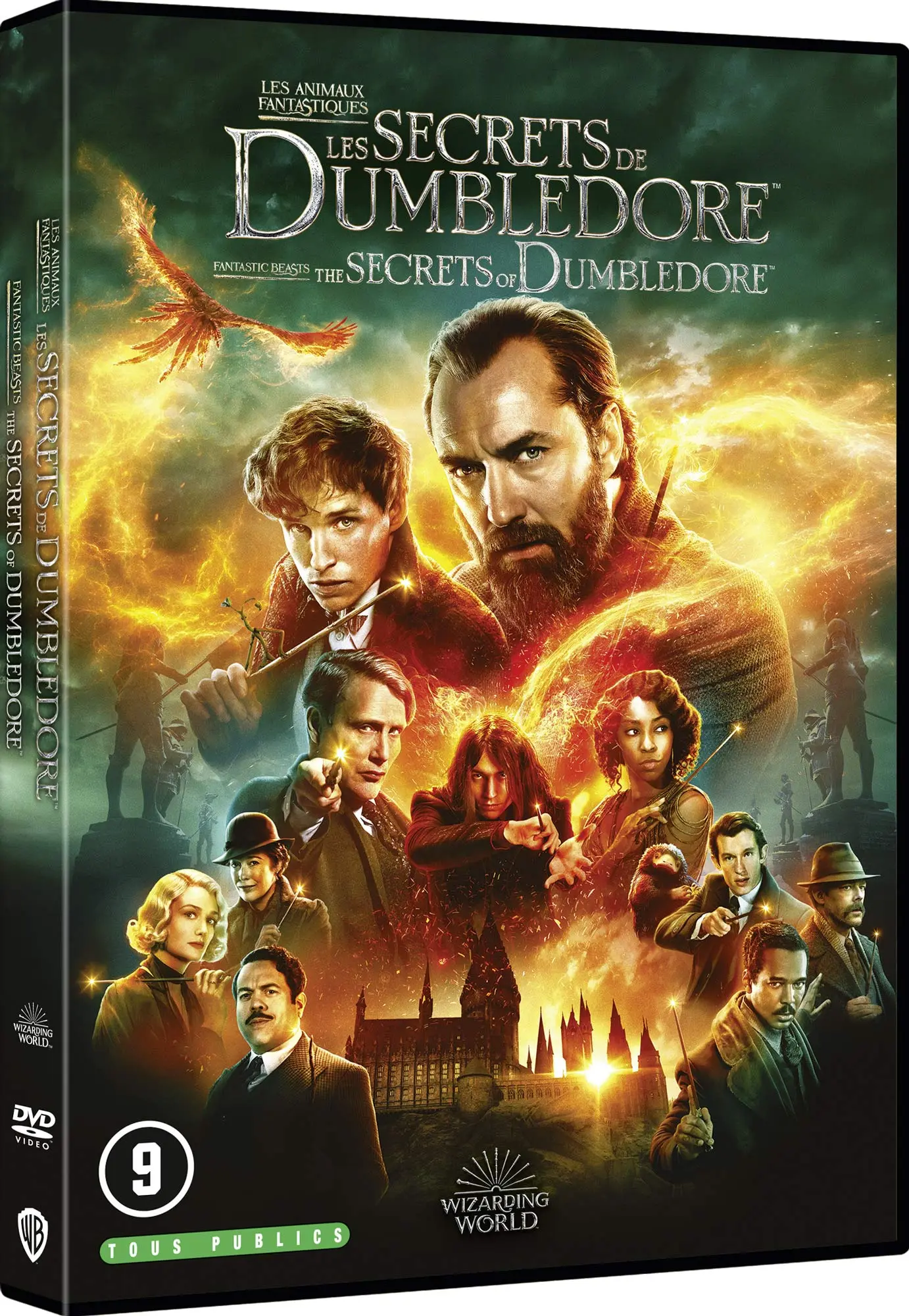 Les Animaux fantastiques : Les Secrets de Dumbledore (DVD)