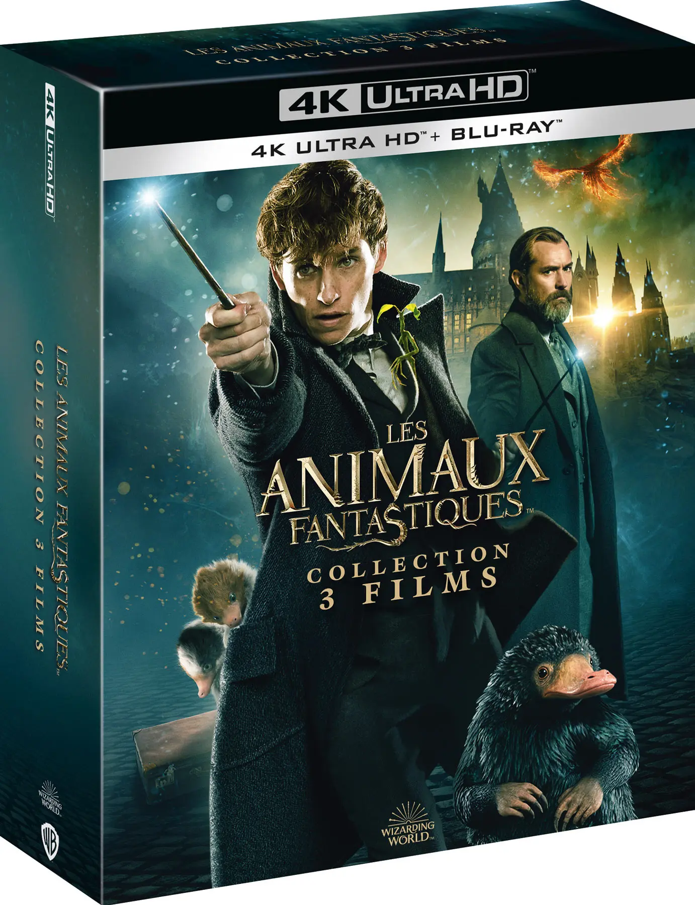 Fantastic Beasts - Collection (4K-UHD)