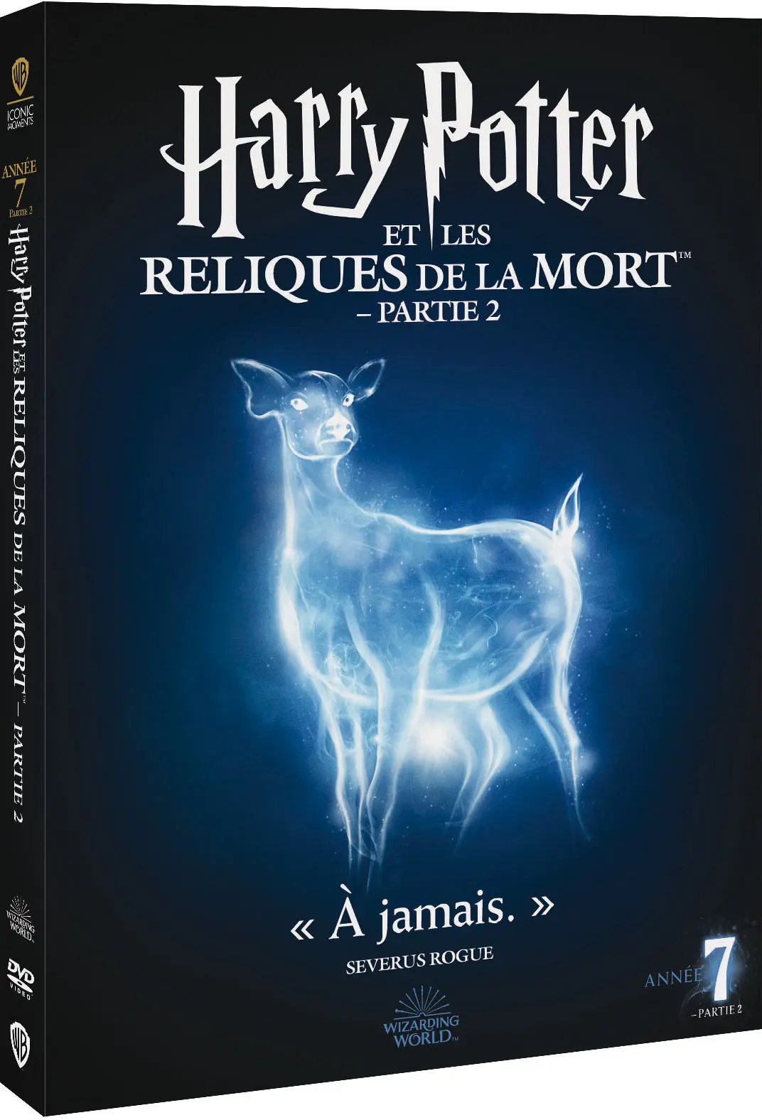 Harry Potter et les Reliques de la Mort : partie 2 (Special Edition) (DVD)