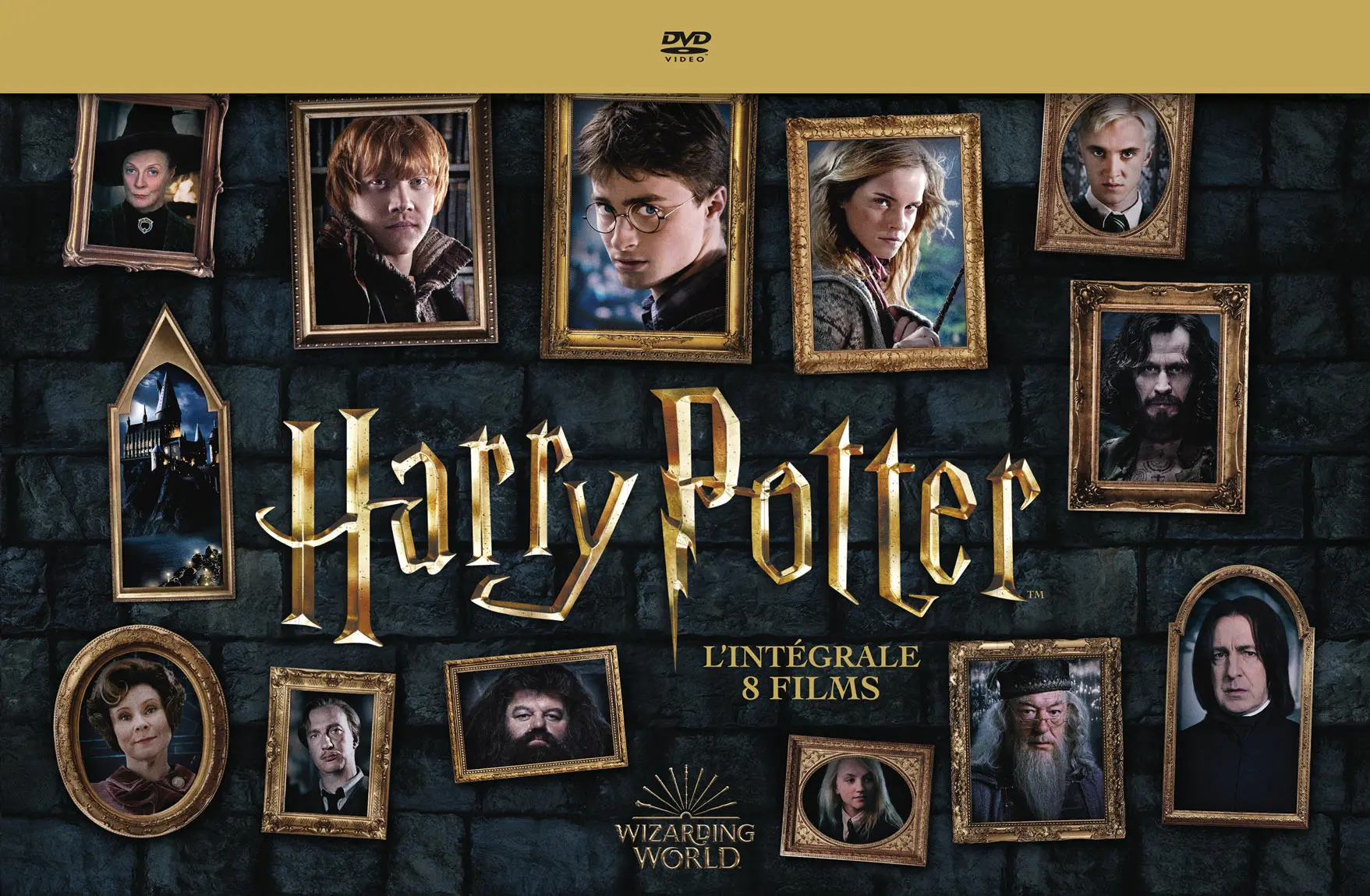 Harry Potter - Collection (DVD)