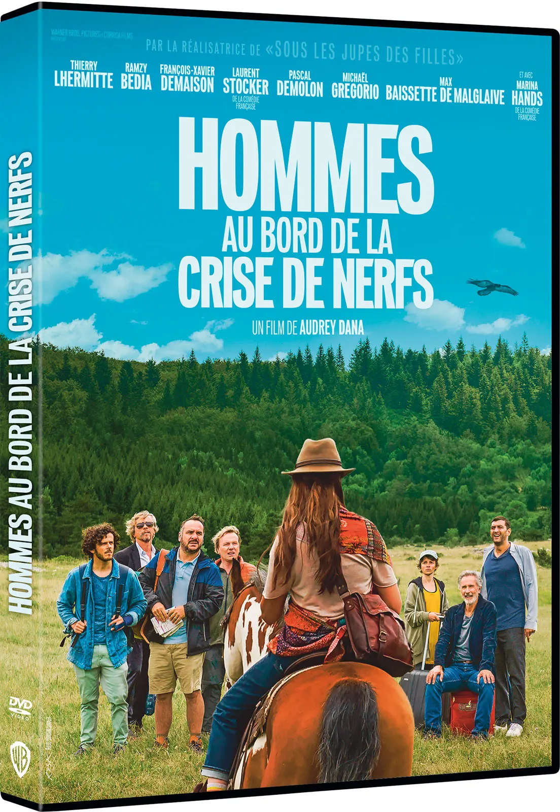 Hommes au bord de la crise de nerfs (DVD)