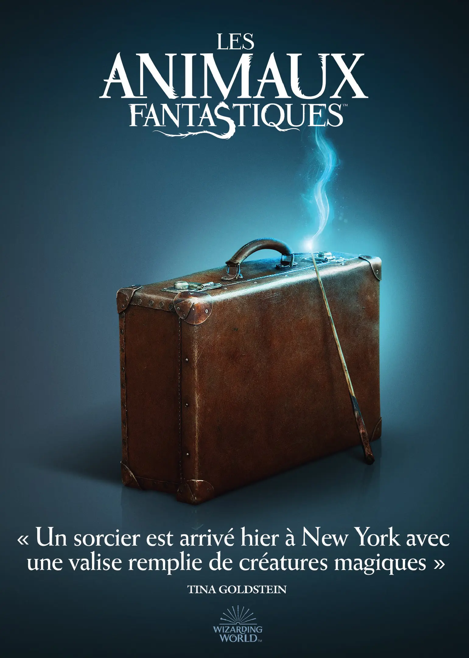 Les Animaux fantastiques (DVD)