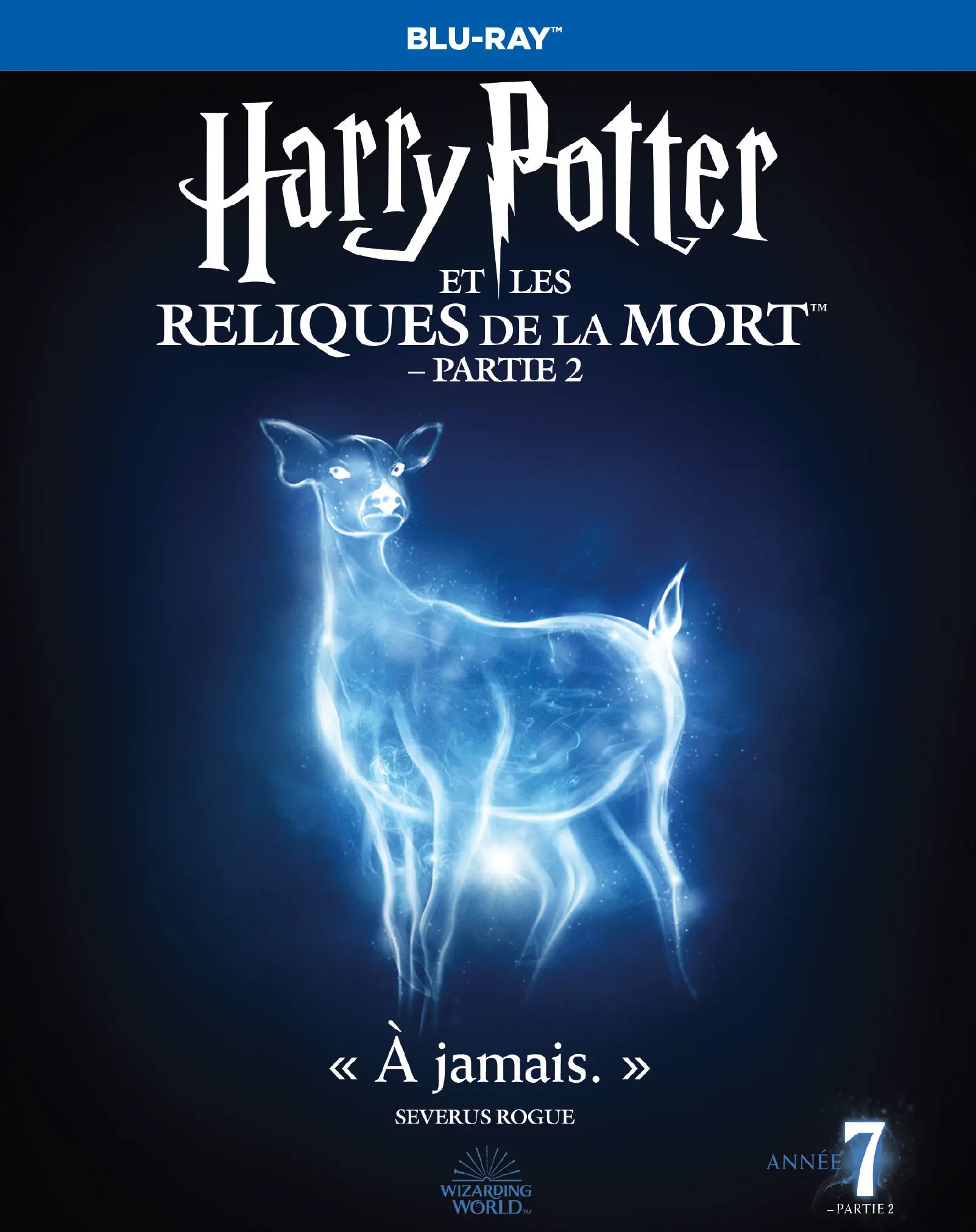 Harry Potter et les Reliques de la Mort : partie 2 (Blu-ray)