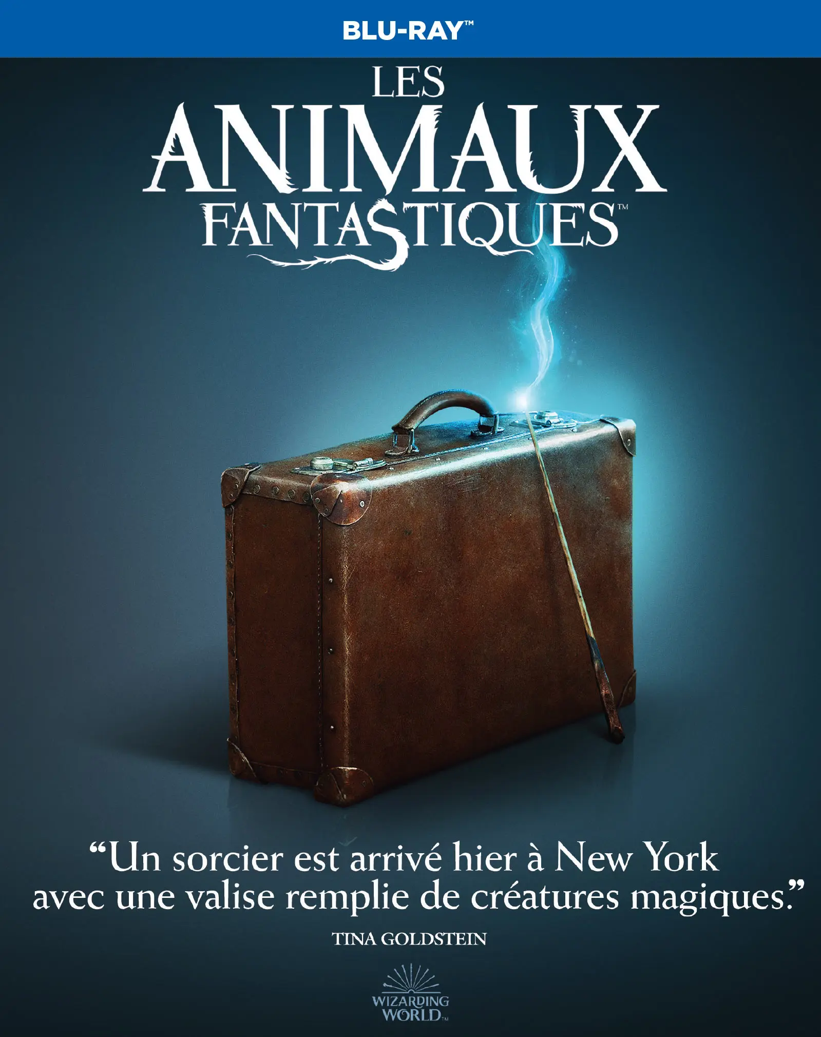 Les Animaux fantastiques (Blu-ray)