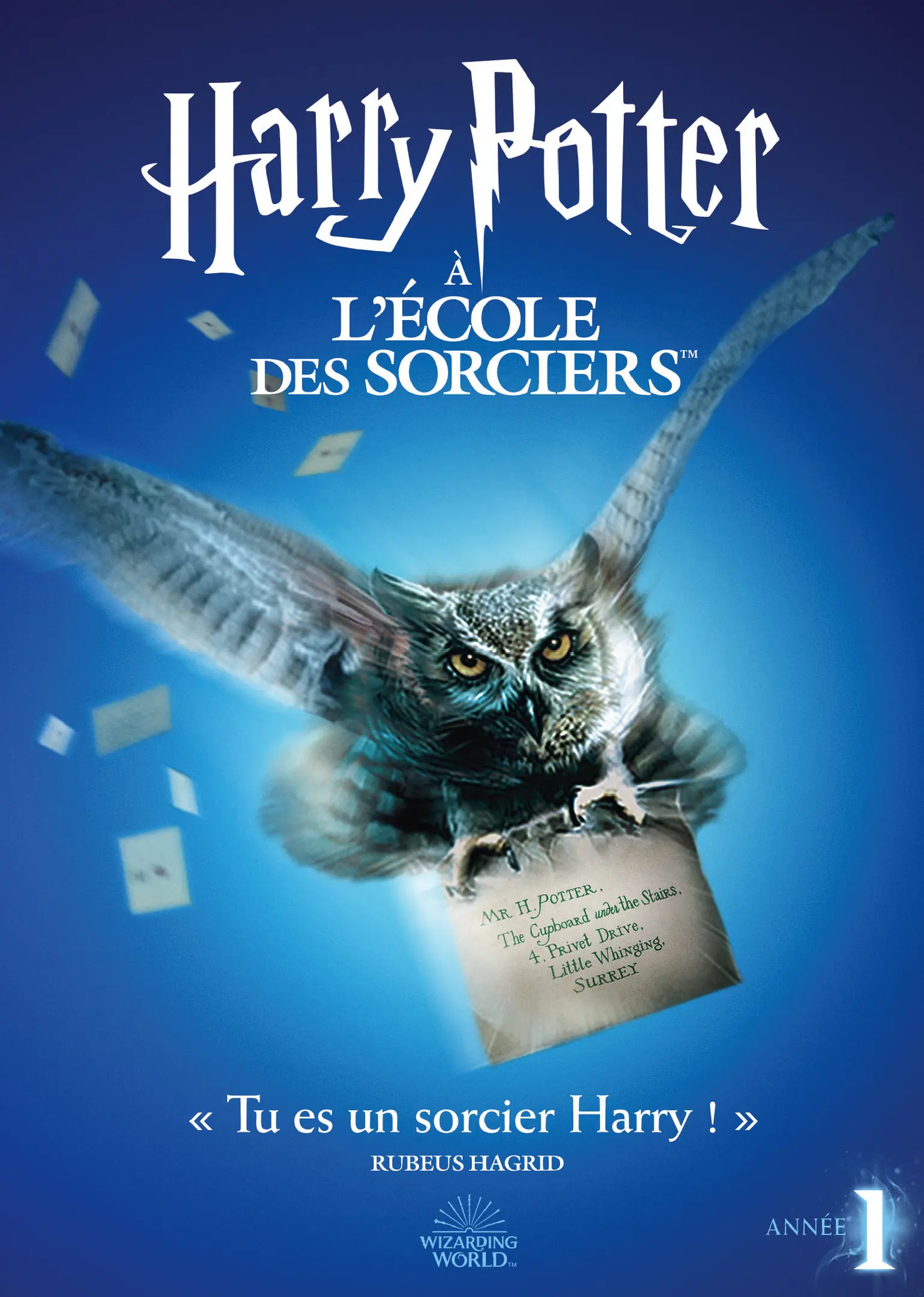 Harry Potter à l'école des sorciers (Special Edition) (DVD)