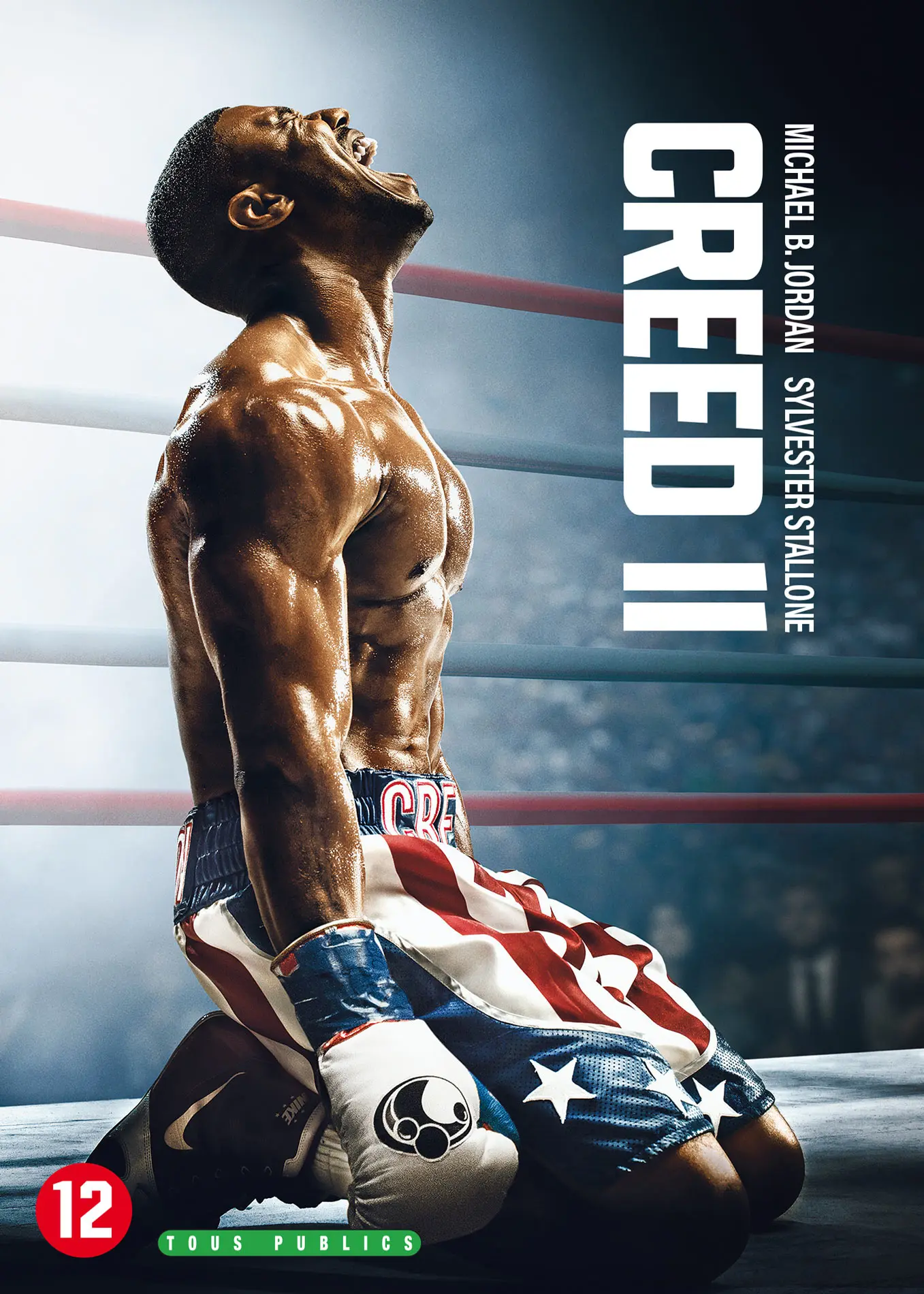 Creed II (DVD)