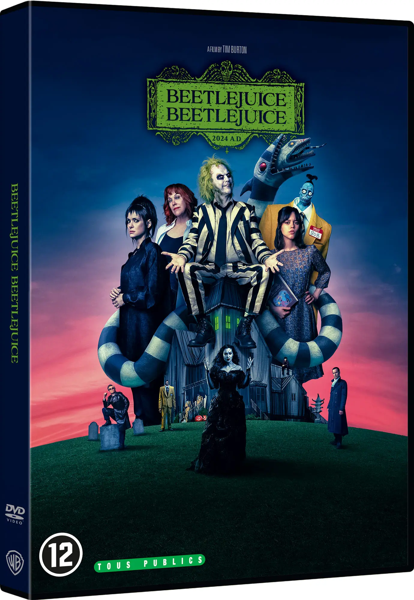 Beetlejuice Beetlejuice (DVD)