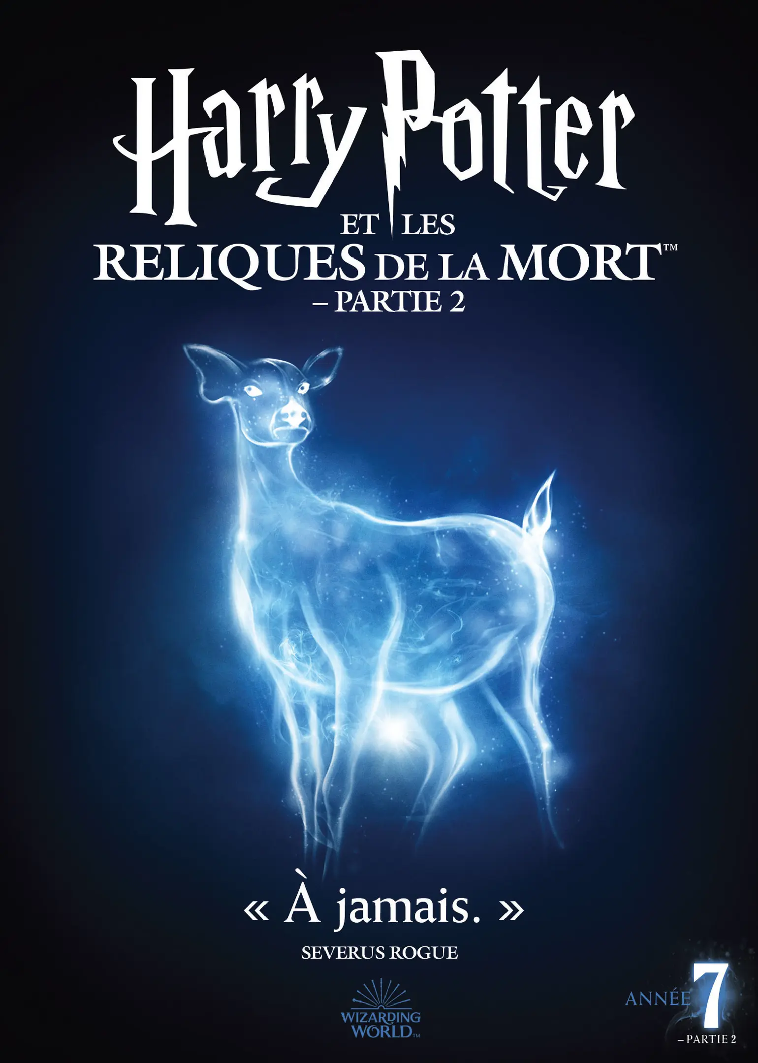 Harry Potter et les Reliques de la Mort : partie 2 (Special Edition) (DVD)
