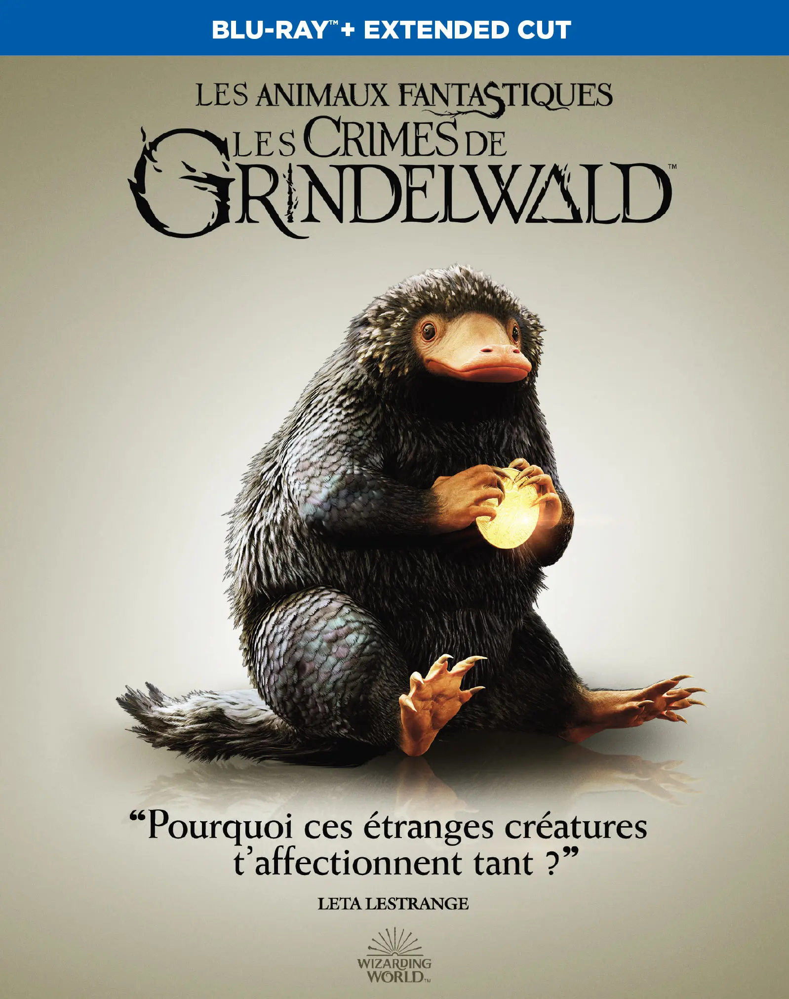 Les Animaux fantastiques : Les Crimes de Grindelwald (Blu-ray)