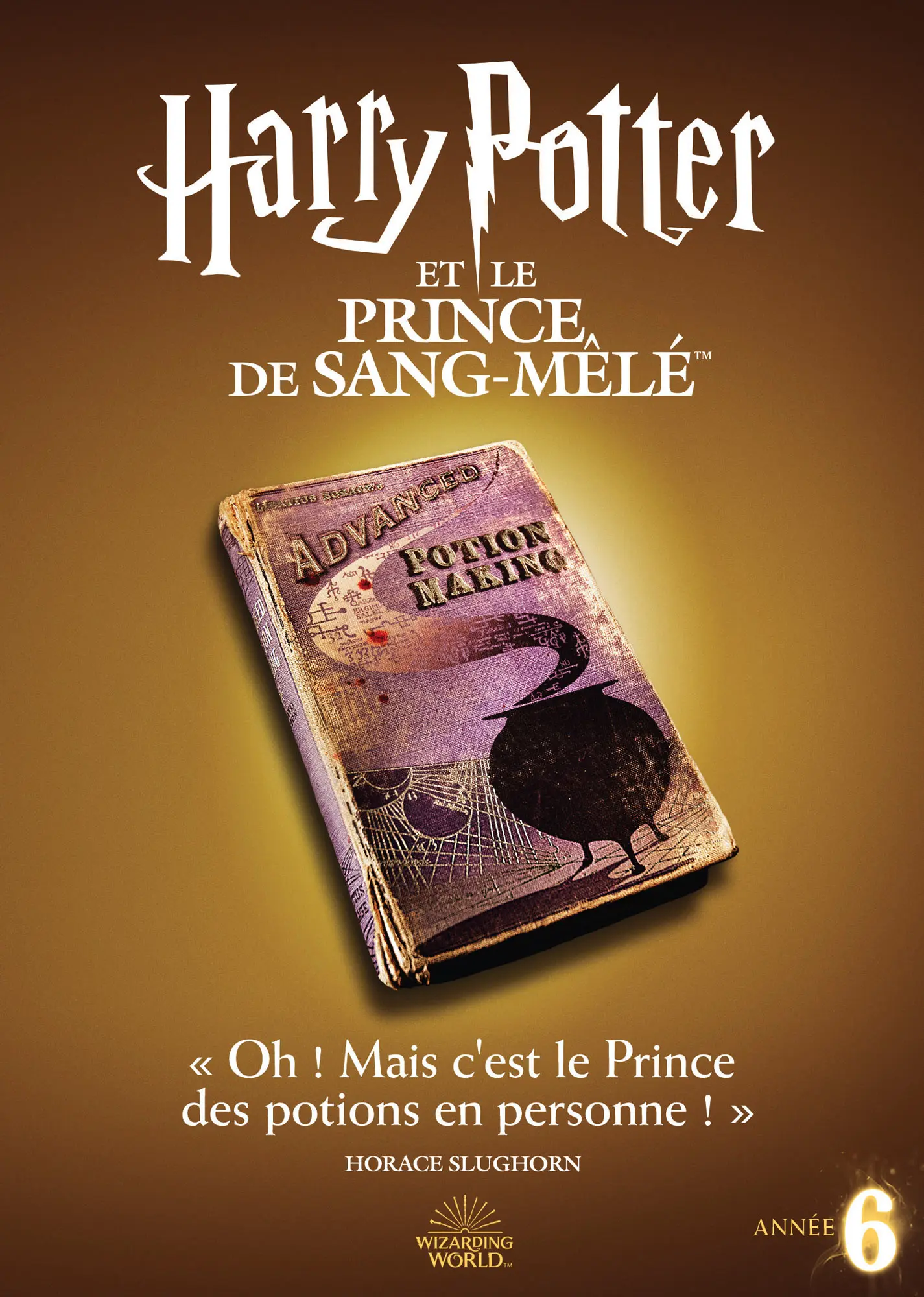 Harry Potter et le Prince de sang-mêlé (Special Edition) (DVD)