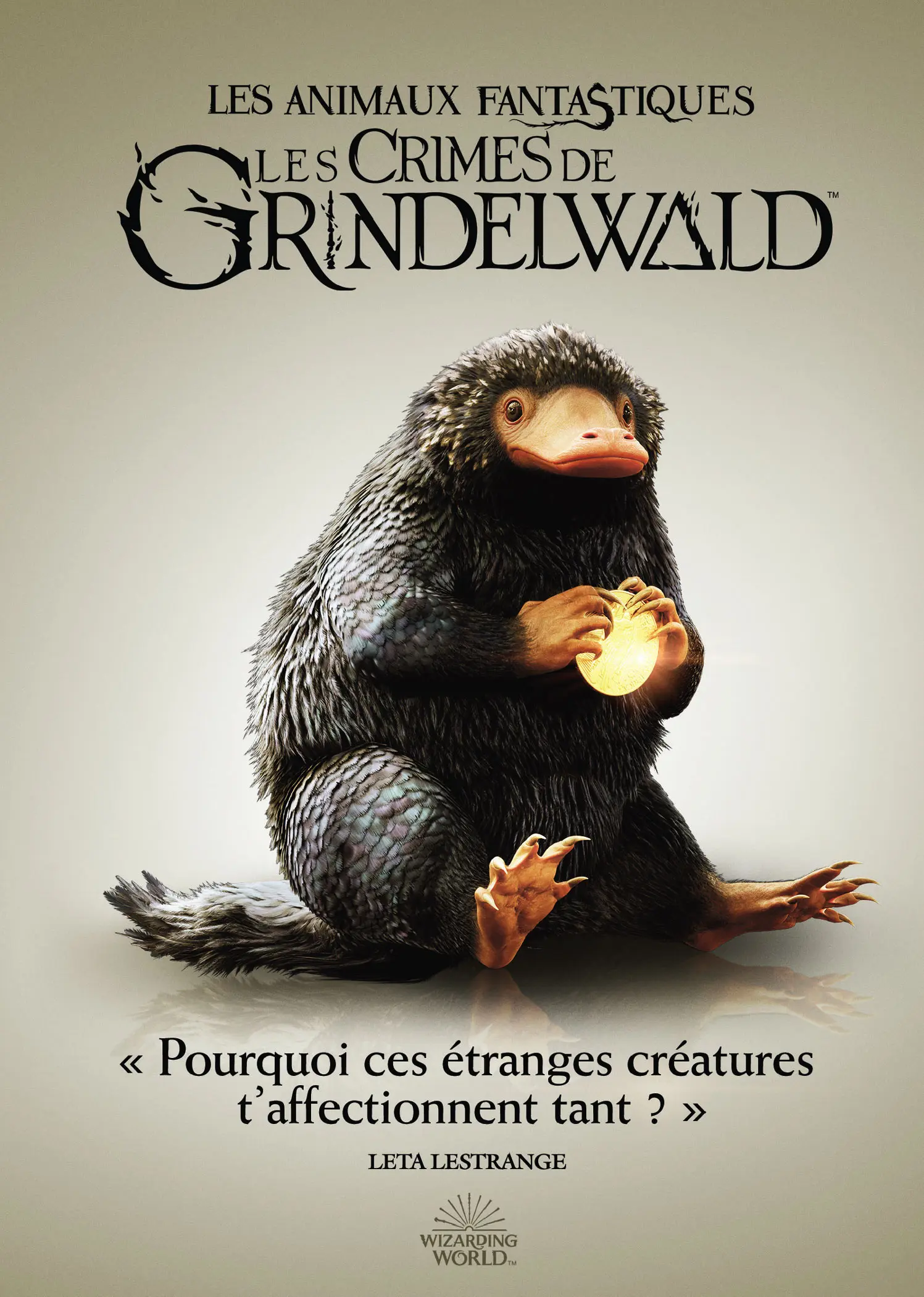 Les Animaux fantastiques : Les Crimes de Grindelwald (DVD)