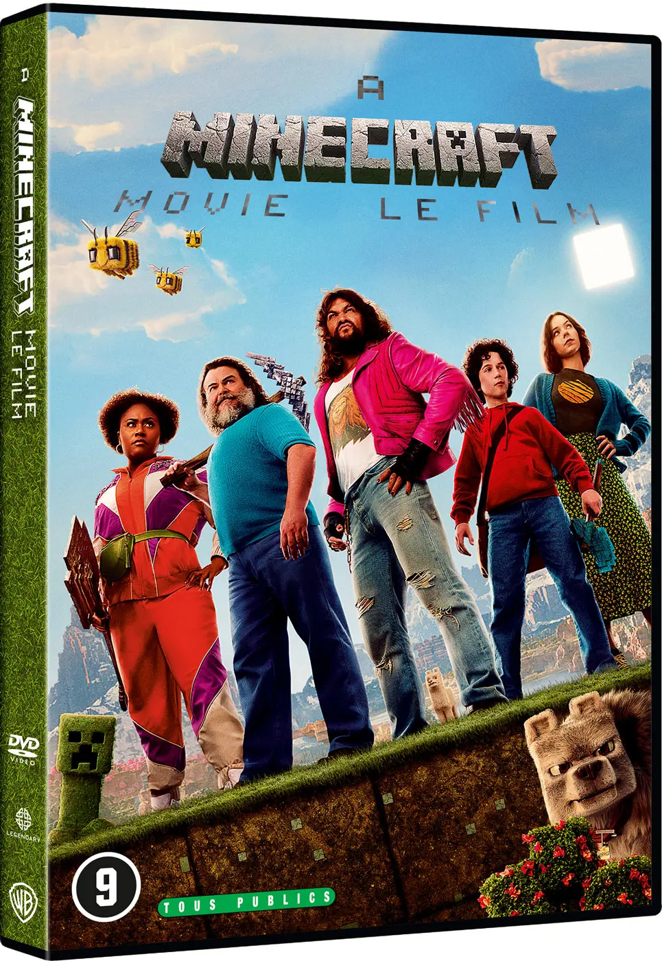 Minecraft, le film (DVD)